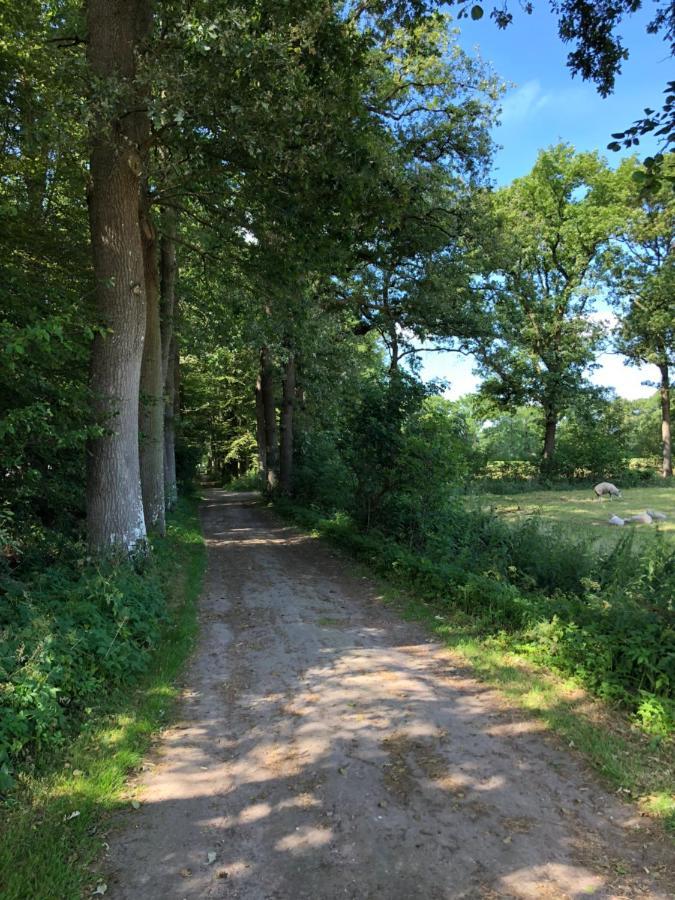 Klein Bosland By Logeren Bij Saar Villa Wijnjewoude Bagian luar foto