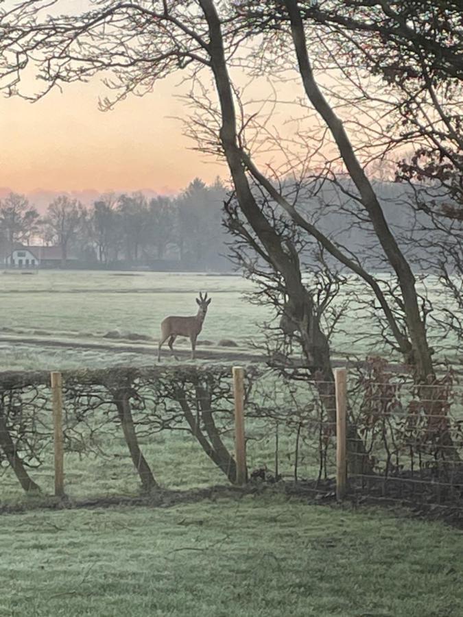 Klein Bosland By Logeren Bij Saar Villa Wijnjewoude Bagian luar foto