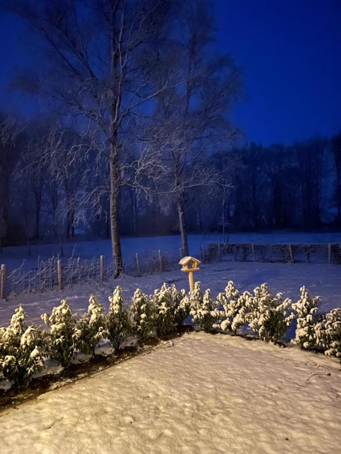 Klein Bosland By Logeren Bij Saar Villa Wijnjewoude Bagian luar foto