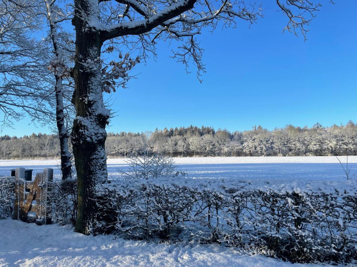 Klein Bosland By Logeren Bij Saar Villa Wijnjewoude Bagian luar foto