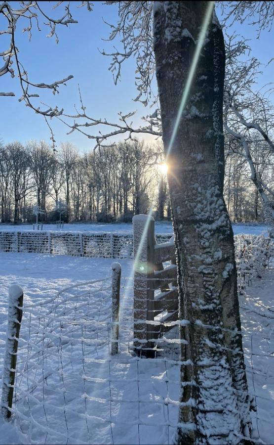 Klein Bosland By Logeren Bij Saar Villa Wijnjewoude Bagian luar foto