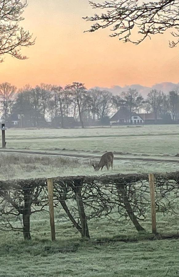 Klein Bosland By Logeren Bij Saar Villa Wijnjewoude Bagian luar foto
