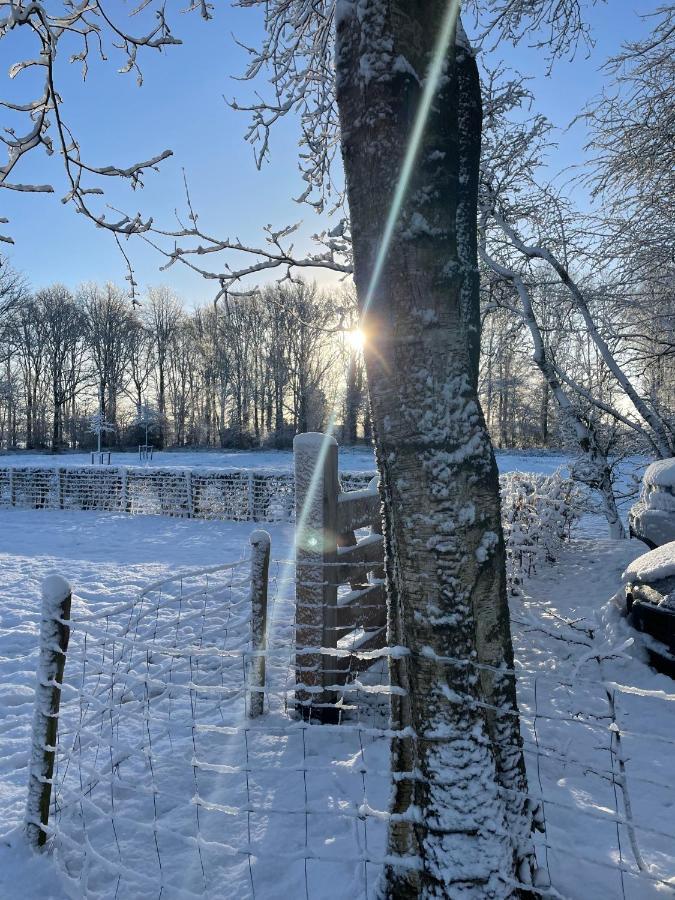 Klein Bosland By Logeren Bij Saar Villa Wijnjewoude Bagian luar foto