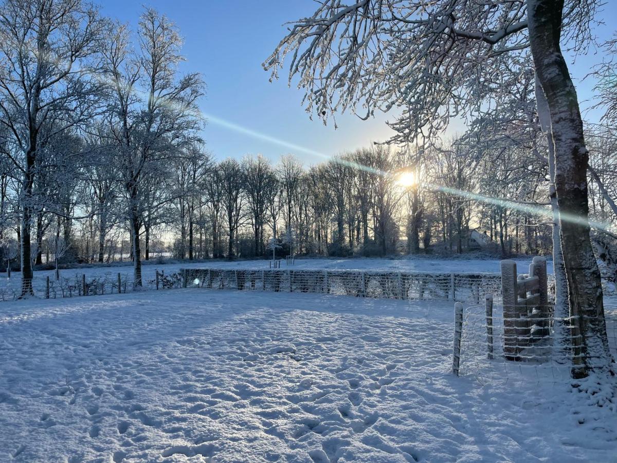 Klein Bosland By Logeren Bij Saar Villa Wijnjewoude Bagian luar foto